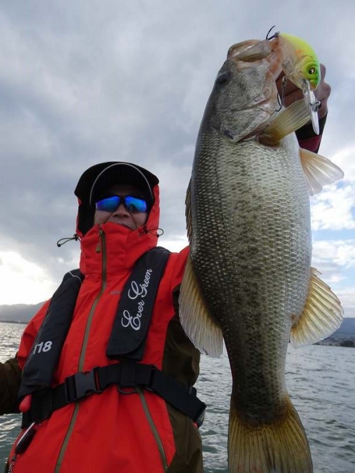 truth  ブログ写真 2017/11/11