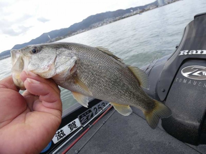 truth  ブログ写真 2017/11/12