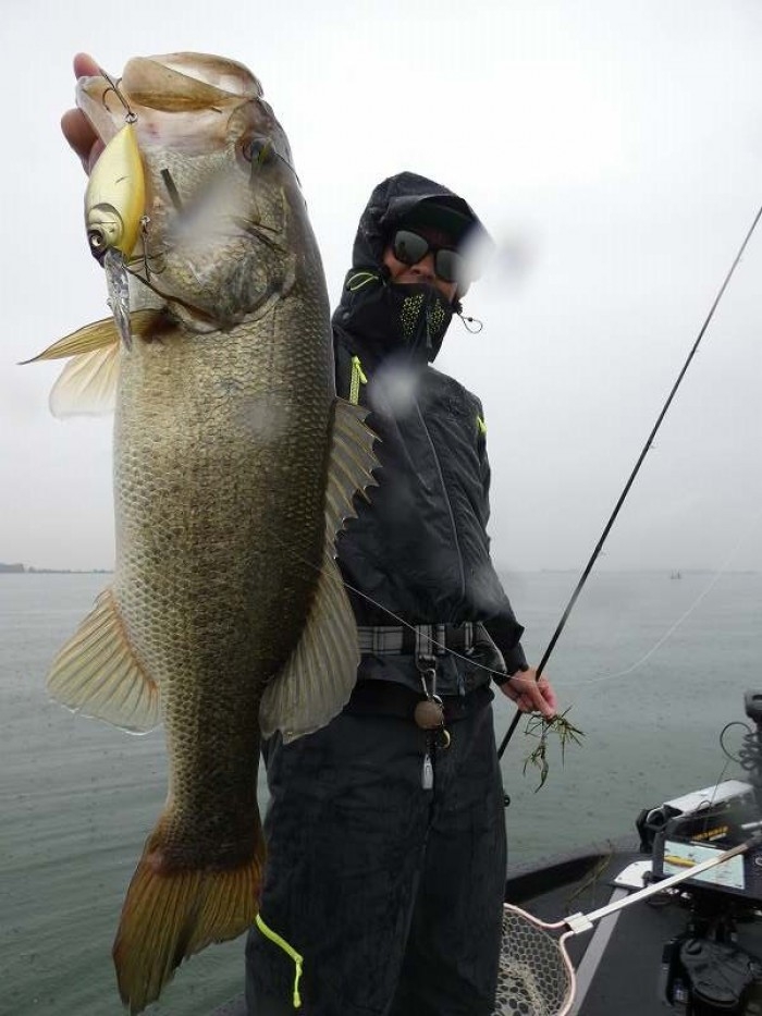 truth  ブログ写真 2017/11/14