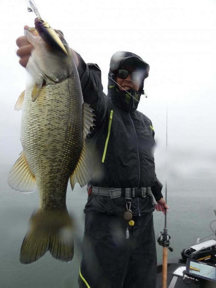 truth  ブログ写真 2017/11/14