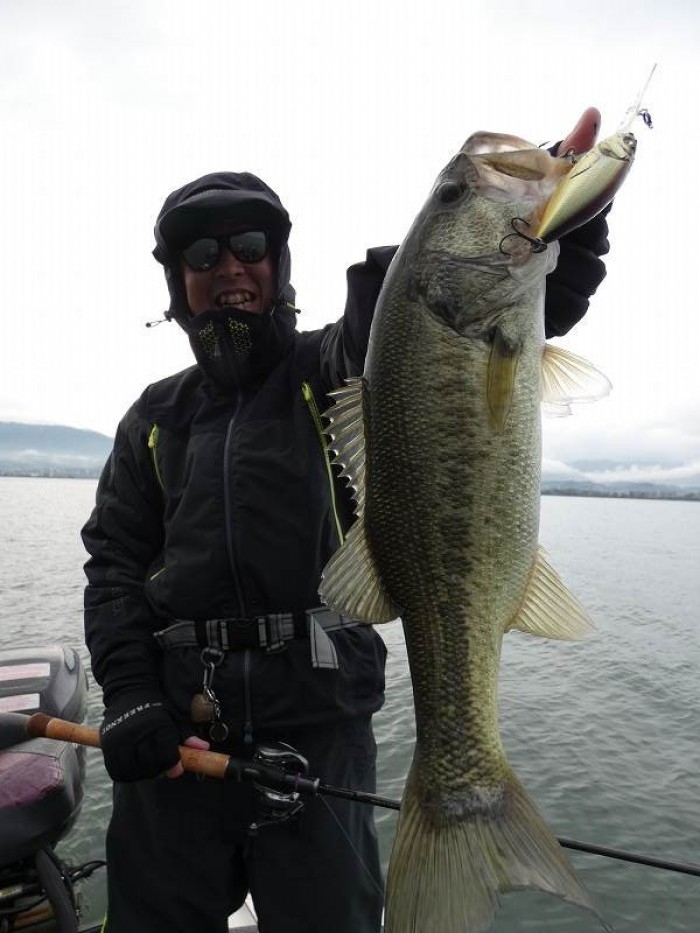 truth  ブログ写真 2017/11/14