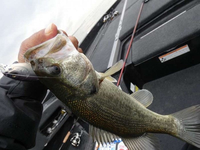 truth  ブログ写真 2017/11/14