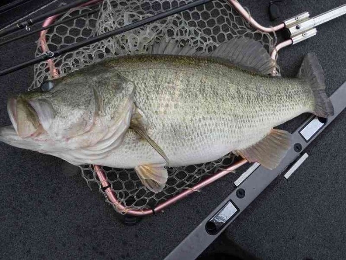 truth  ブログ写真 2017/11/21