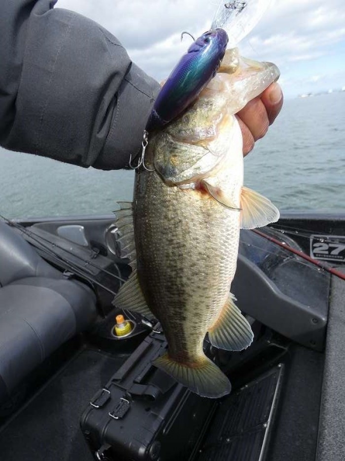 truth  ブログ写真 2017/11/21