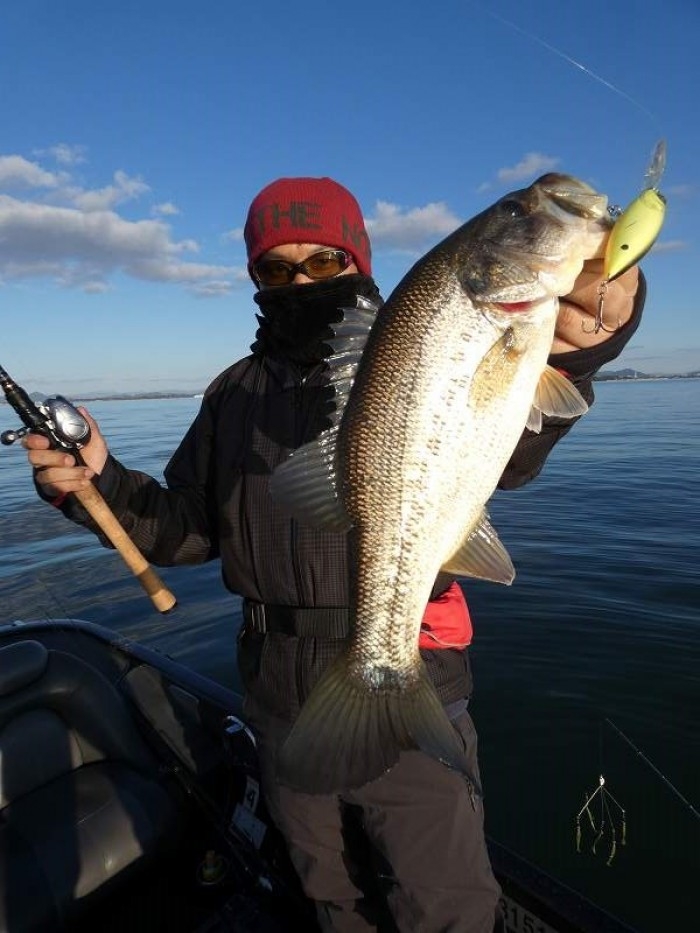 truth  ブログ写真 2017/11/21