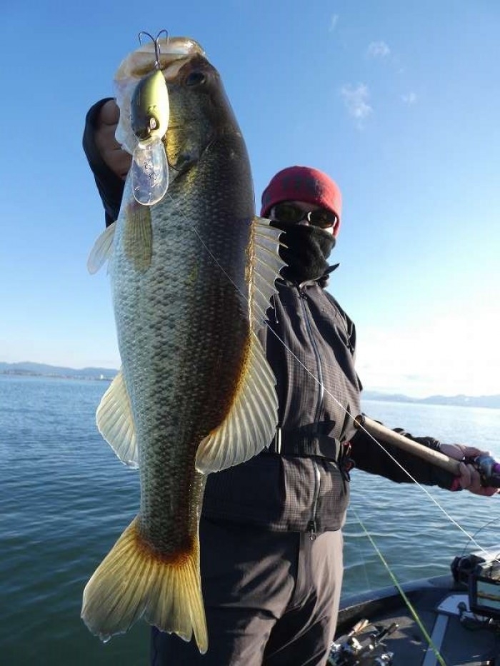 truth  ブログ写真 2017/11/21