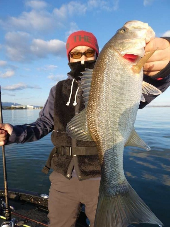 truth  ブログ写真 2017/11/21