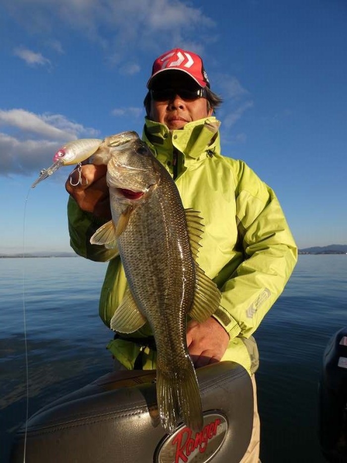 truth  ブログ写真 2017/11/21