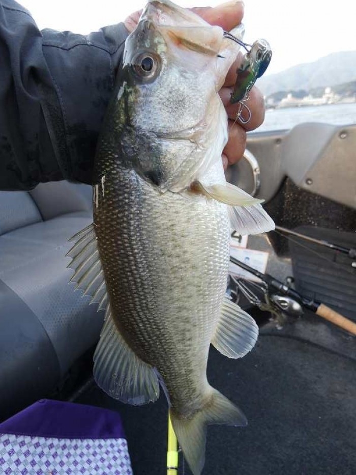 truth  ブログ写真 2017/11/23