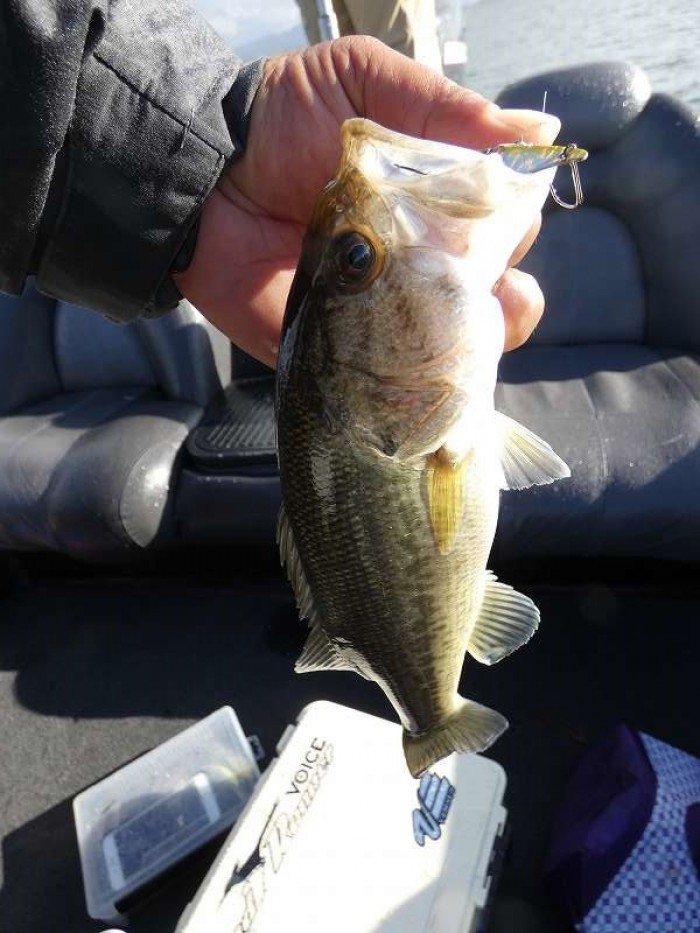 truth  ブログ写真 2017/11/23