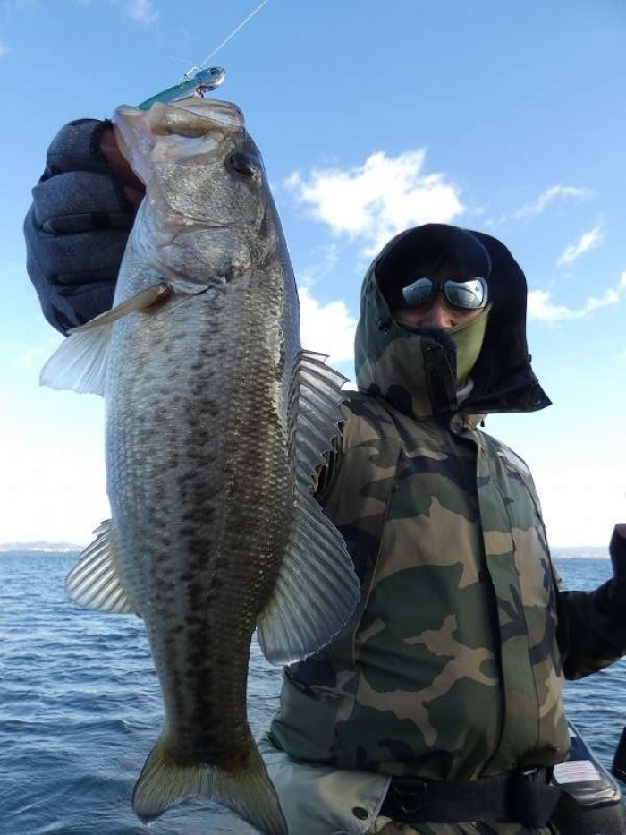 truth  ブログ写真 2017/11/23