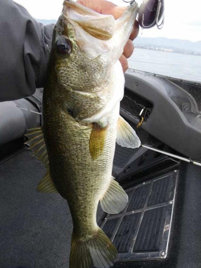 truth  ブログ写真 2017/11/23