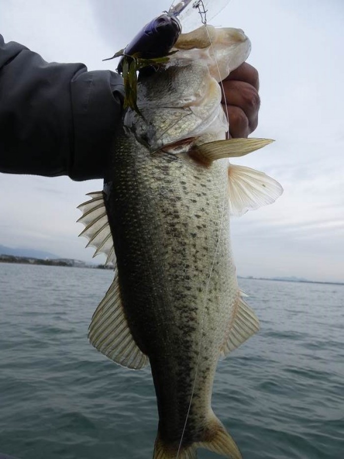 truth  ブログ写真 2017/11/23