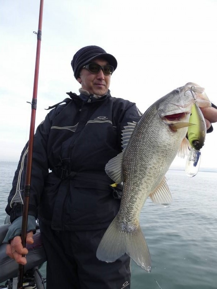 truth  ブログ写真 2017/11/23