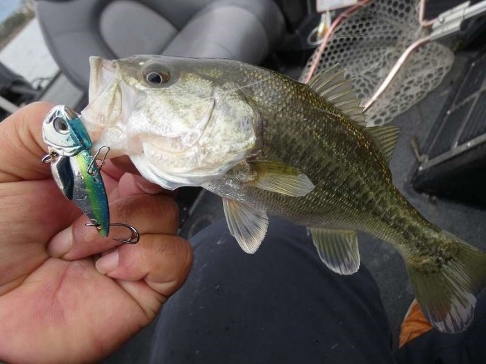 truth  ブログ写真 2017/11/23