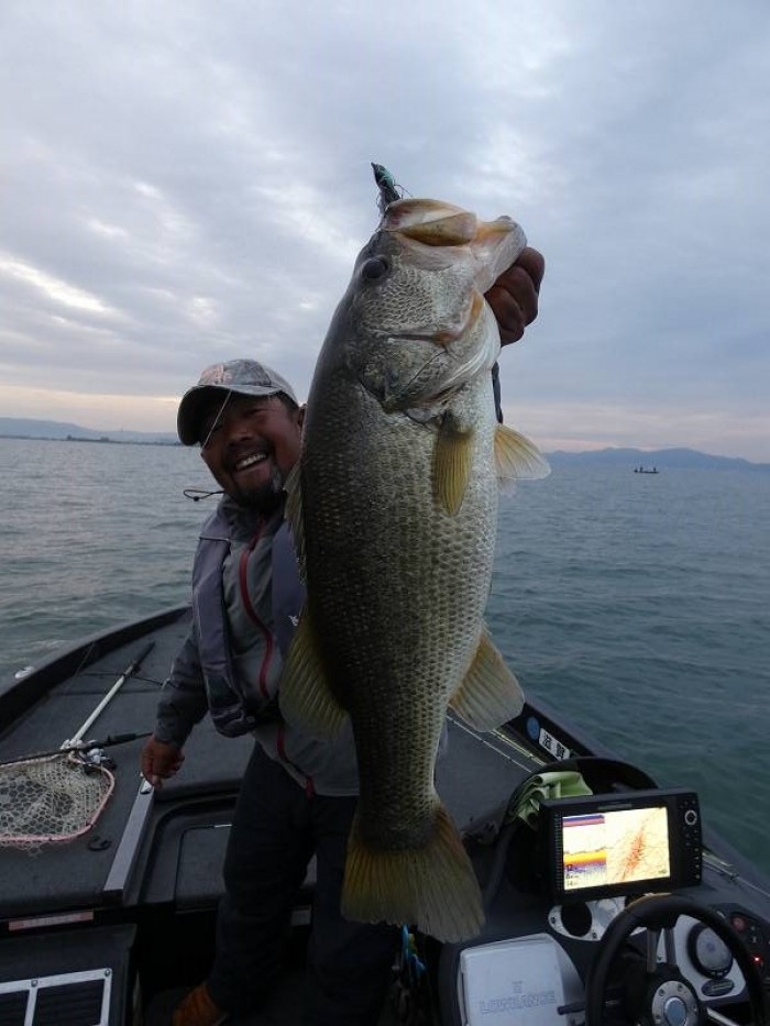 truth  ブログ写真 2017/11/23