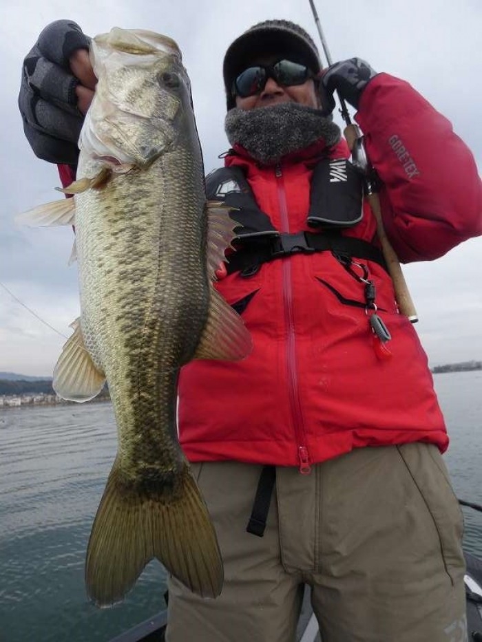 truth  ブログ写真 2017/12/04