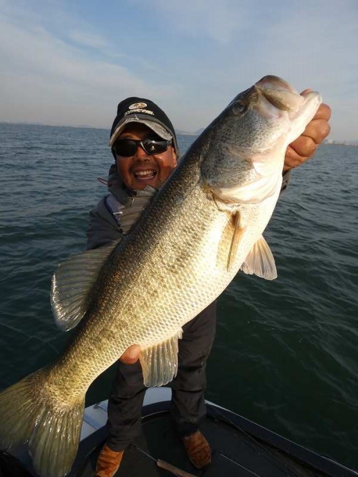 truth  ブログ写真 2017/12/07