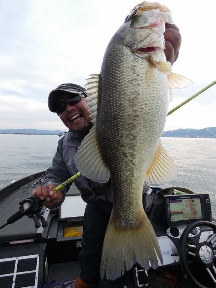 truth  ブログ写真 2017/12/10