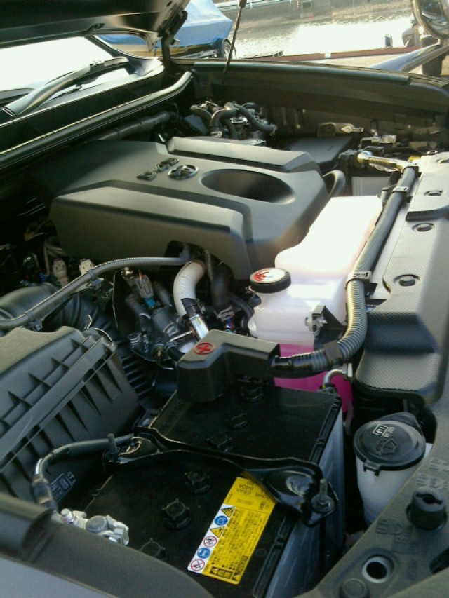 truth truth ブログ写真 2016/03/03