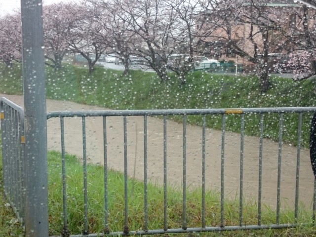 truth truth ブログ写真 2016/04/07