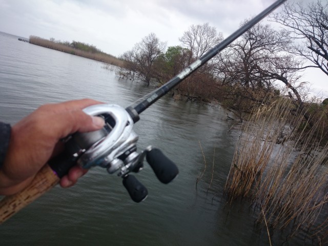 truth truth ブログ写真 2016/04/13