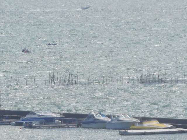 truth truth ブログ写真 2016/04/17