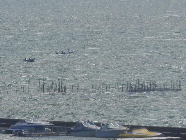 truth truth ブログ写真 2016/04/17