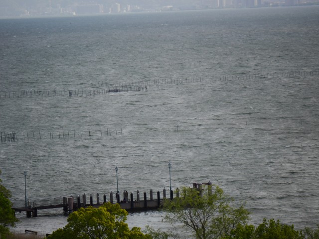 truth truth ブログ写真 2016/05/04