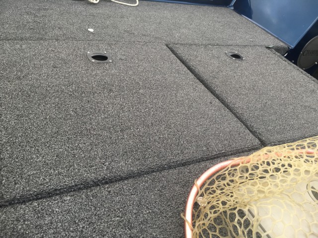 truth truth ブログ写真 2016/08/23