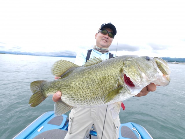 truth truth ブログ写真 2016/09/13