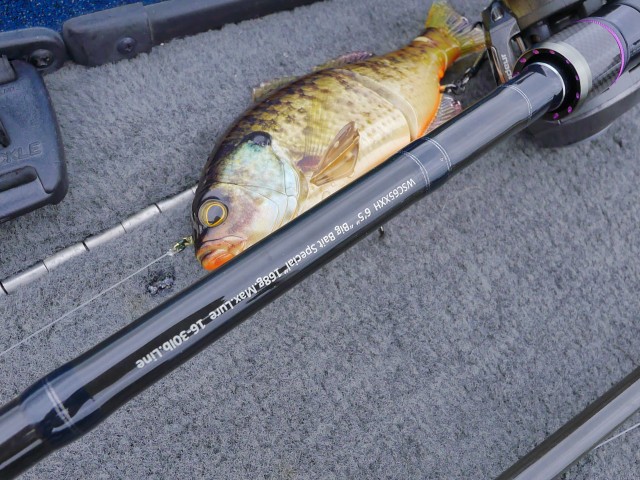 truth truth ブログ写真 2016/09/13