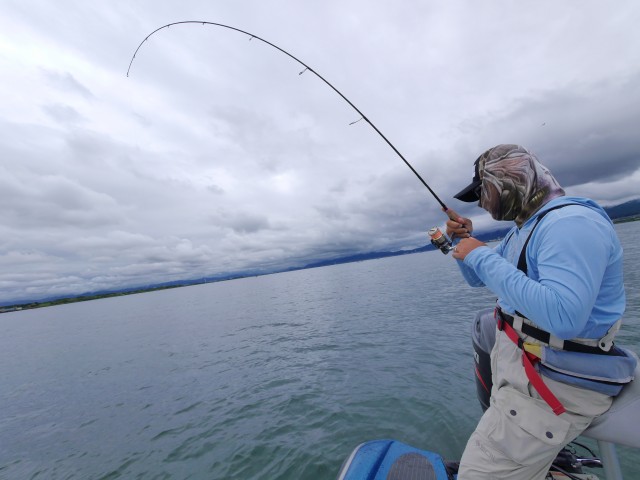 truth truth ブログ写真 2016/09/13