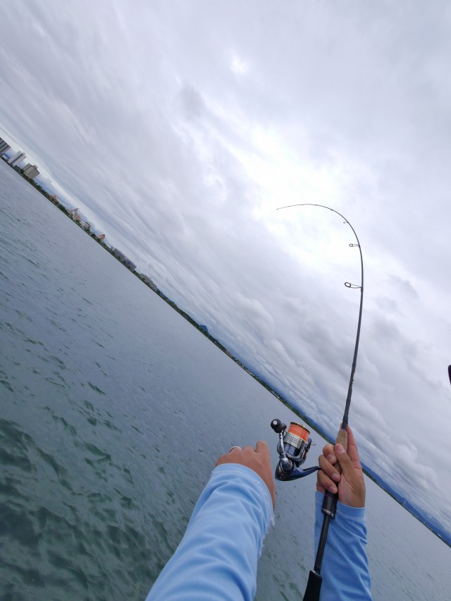 truth truth ブログ写真 2016/09/13