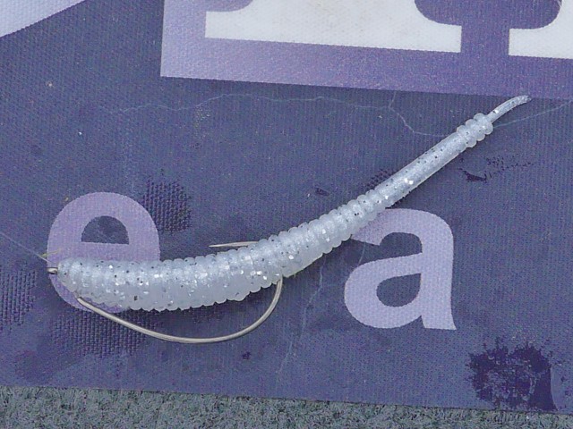 truth truth ブログ写真 2016/10/02