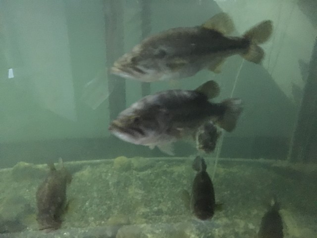 truth truth ブログ写真 2016/10/05