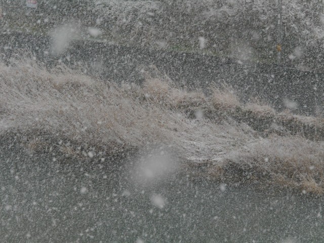 truth truth ブログ写真 2017/01/14