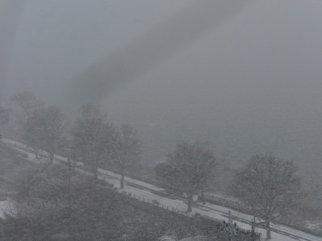 truth truth ブログ写真 2017/01/14