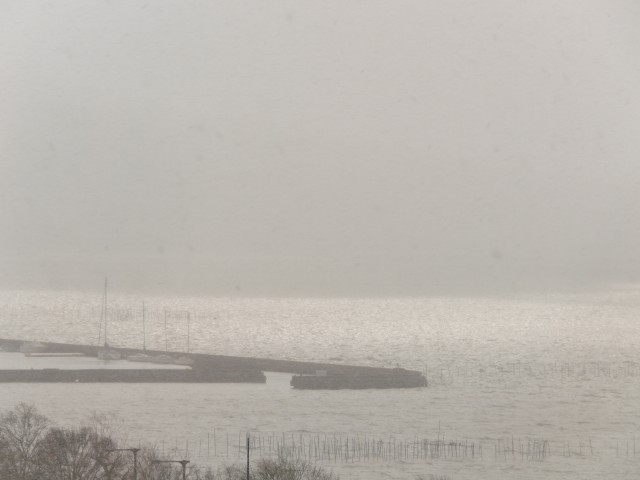 truth truth ブログ写真 2017/01/14