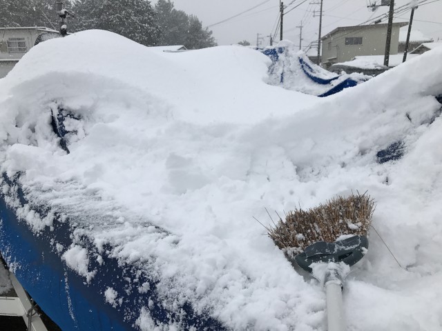 truth truth ブログ写真 2017/01/15