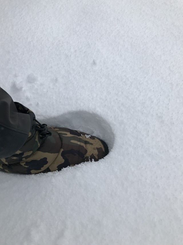 truth truth ブログ写真 2017/01/15