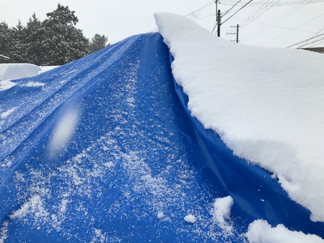 truth truth ブログ写真 2017/01/15