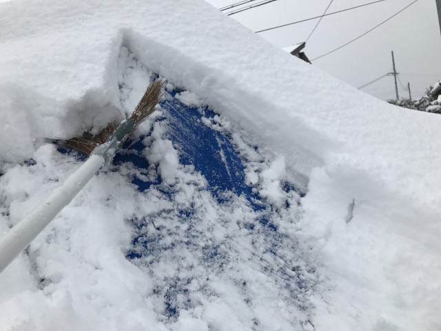 truth truth ブログ写真 2017/01/15