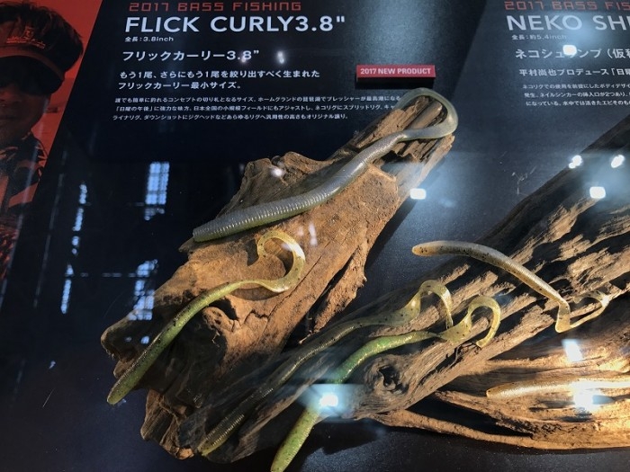 truth  ブログ写真 2017/02/05