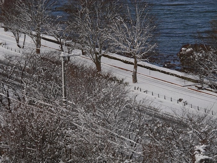 truth  ブログ写真 2017/02/13