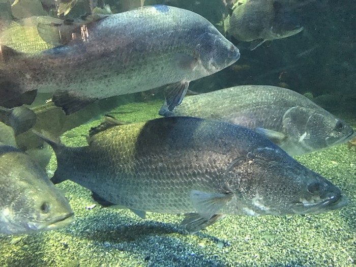 truth  ブログ写真 2017/02/13