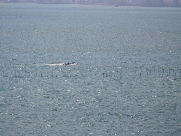 truth  ブログ写真 2017/03/10