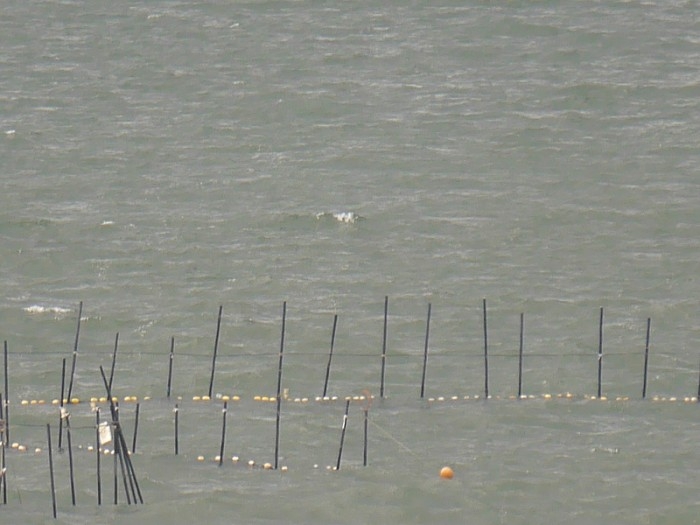 truth  ブログ写真 2017/05/07