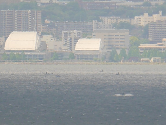 truth  ブログ写真 2017/05/07