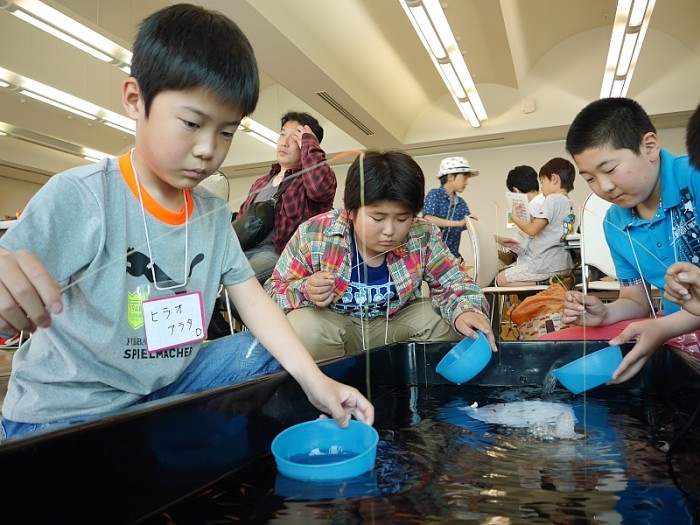 truth  ブログ写真 2017/05/14